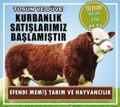 Bunyan 38 Haber Kurban Satislarimiz Baslamistir Efendi Memis Tar Alabalik Tarim Din