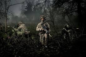 Learn about camouflage, the protective coloring that allows animals to survive by blending into the background. The Defence Industry Briefing Global Defence Technology Issue 118 December 2020