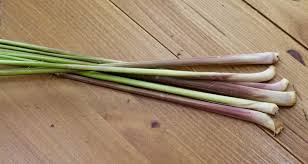 Simply Fresh Week 15 Lemongrass And Vegetable Broth Holcomb Farm