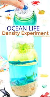Ocean Science For Kids Easy Ocean Life Experiment Kids Love Natural Beach Living Preschool Science Activities Science Activities For Kids Science For Kids