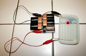 Forensic Science Building Your Own Tool For Identifying Dna Forensic Science Science Fair Projects Science Fair