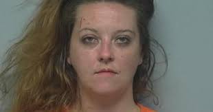 SC authorities chase woman in stolen dump truck