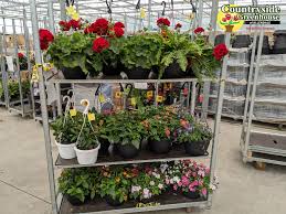 We did not find results for: Countryside Greenhouse Photos Facebook
