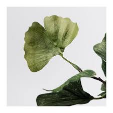 Smycka Kunstblume Ginkgo Grun Ikea Deutschland Kunstblume Kunstliche Blumen Ginkgo