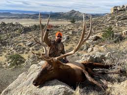 Check spelling or type a new query. How To Hunt Elk In Wyoming In 2021 Table Mountain Outfitters