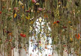 1,440 likes · 5 talking about this. The Flower Garden Display D Rebecca Louise Law Rebecca Louise Law