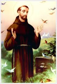 Biografia Vida De San Francisco De Asis San Francisco De Asis Busca Ensenar El Amor De Dios A Traves De Su Propia Obra La Creacion Bajo Todos S San Francisco De Asis Patron Saints Francisco De Asis