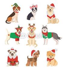 Christmas greeting card with happy winter pug dog wearing in the knitted sweater, vector illustration. Christmas Dogs Collection Vector Illustration Of Funny Cartoon Different Breeds Dogs In Christmas Cost Christmas Dog Christmas Illustration Christmas Costumes