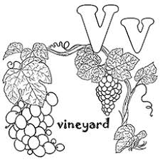This particular set of letter w coloring pages printable will engage your child with coloring challenges. Top 10 Free Printable Letter V Coloring Pages Online