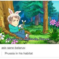 And If You Look At Your Right You Can See An Exemplary Of Prussia In His Habitat Hetalia Hetalia Characters Anime