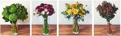 Take a tour of our seven locations and discover which might be best for you to honor a life lived. The 12 Best Options For Flower Delivery In Washington D C 2021
