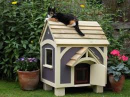 Outdoor Cat House Plans Cat House Plans Outdoor Cat House Cat House Diy