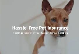 Go through our list of frequently asked questions, click on the topic and get the answer you are. Metlife To Acquire Petfirst