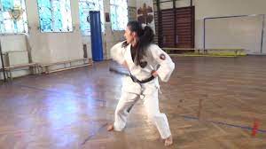 Sensei gichin funakoshi changed the name of many shotokan kata. Heian Sandan Karate Shotokan Kata 3 By Master Di Youtube