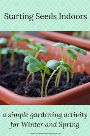 Starting Seeds Indoors When To Plant Vegetables Starting Seeds Indoors Seed Starting Soil