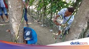 Telah berpulang saudara kami steven n. Ternyata Tak Semua Orang Beruntung Mendengar Pohon Menangis Di Jember Halaman 2