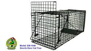 Animal Traps