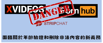 Pornhub、 XVideos 和Stripchat 三個色情網站將受到歐盟的安全法規的制裁- 電腦王阿達