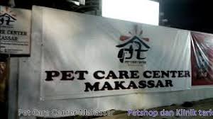 The practice was initially comprised of approximately 60% small animals and 40% large animals. Mengenal Lebih Dekat Pet Care Center Antang Makassar Youtube