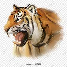 Hand Painted Head Element Of Ferocious Tiger Fierce And Fierce Ferocious Head Portrait Png Transparent Clipart Image And Psd File For Free Download Silhouette Painting Fur Background Best Background Images