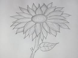Bebas pakai untuk komersil & pribadi tanpa edit tanpa atribut gunakan fitur sortir. 101 Gambar Bunga Matahari Gelap Terang Terlihat Keren Lukisan Bunga Matahari Menggambar Bunga Menggambar Bunga Matahari
