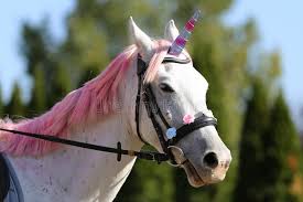 Realistic Unicorn Photos Free Royalty Free Stock Photos From Dreamstime