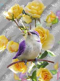 Bird Bird Bird Is The Word Gif Https Encrypted Tbn0 Gstatic Com Images Q Tbn 3aand9gctr4xailntf8crvs4iy1m8p01tdj 46dhn3ug Usqp Cau