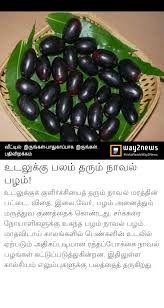 Pin By Thulasi Leopard Siva On Sownthar S In 2020 Natural Remedies Fruit Avocado