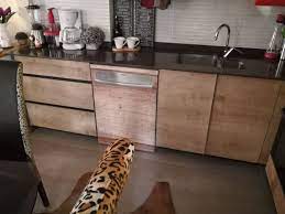 ahsap desenli bulasik makinesi kaplama folyosu ile bulasik makinasi rengini dolaplarina ve mutfagina sik sekilde uygulayan muste ev dekoru dolaplar ev planlari