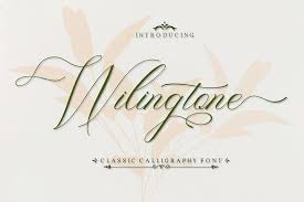 For example, the logo of famous tv series american idol uses a modified typeface called kaufman as their logo, which is a script font of casual style. Wilingtone 351500 Script Font Bundles In 2020 Pretty Script Fonts Fonts Design Wedding Fonts