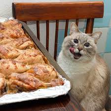 Let us know , but be sure that you are the first one to send it. Chicken Cat Blini Cat Know Your Meme