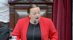 ¡Sorpresa en Diputados! Moreau Toma el Mando ante Ausencia de Menem - Imagen principal del artículo