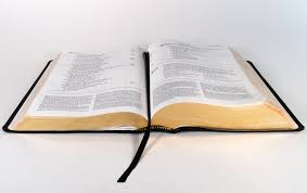 The proverbs of solomon the son of david, king of israel; What Does The Bible Say About Money Jen Hayes