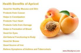 Health Benefits Of Apricot Apricot Fruit Is The Dried Fruit A Good Source Of Minerals Potassium Iron Zinc Calcium Apricot Benefits Health Health Benefits