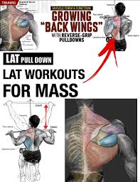 Pin On Sport And Exercise