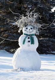 « ça va être une bonne neige pour faire des bonshommes de neige, pour faire des forts, pour s'amuser à l'extérieur. 20 Idees Pour Un Bonhomme De Neige Original Bonhomme De Neige Plaisirs D Hiver Bonhomme De Neige Original