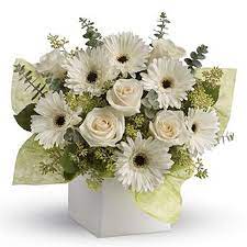 White Roses Gerberas Daisy Family The Symbol Of Innocence And Purity Is Timeless Treasure Rose Flower Arrangements Flower Arrangements Flower Delivery