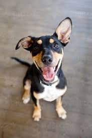 Lil baby & lil durk) wants and needs (feat. Clara Jennings Clara Jennings Profile Pinterest