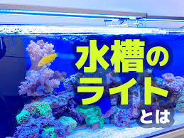 45cm 水槽 照明 おすすめ
