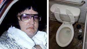 One capo tony soprano crime family, gigi cestone died on the toilet, most likely due to stress caused by the new role. The Task Force In Charge Of Making Sure Elvis Didn T Die On The Toilet Explain What Went Wrong Youtube