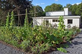 Bauhaus ist ihr fachcentrum für werkstatt, haus und garten. Gemuse Am Horn