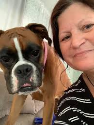 Is there a reputable Boxer breeder in Las Vegas?