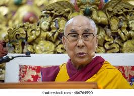 Best Esulare Royalty-Free Images, Stock Photos & Pictures