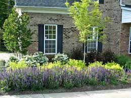 Effective as part of a naturalized planting or massed under large trees for an. Mixed Perennial And Shrub Garden Ecogreen Landscaping