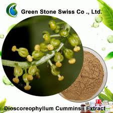 Image result for Dioscoreophyllum