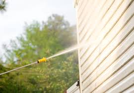 It was his motivational drive and phenomenal service that quickly catapulted his company to success. When Is The Best Time To Have Your House Power Washed In Northern Virginia Northern Virginia Gutters Cleaning Repair Siding Roofing Windows