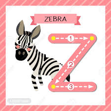 Zebras are beautiful, hardy creatures that are built for survival in harsh environments. Letter Z Uppercase Cute Children Colorful Zoo And Animals Abc Royalty Free Cliparts Vectors And Stock Illustration Image 86260622