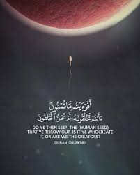 22 likes 0 comments chosen verse chosen verse on instagram اسلاميات قران اذكار quran quotes inspirational beautiful quran quotes quran quotes verses
