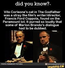 Vito Corleone S Cat In The Godfather Was A Stray The Film S Writer Director Francis Ford Coppola Found On The Paramount Lot It Purred So Loudly That Some Of Film Writer The