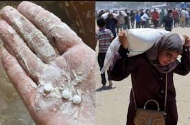 Skandal Bantuan AS dan 'Israel' di Gaza: Pil Narkotik Dicampur di Tepung  Makanan
